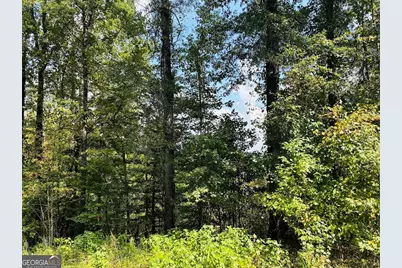 0 Fouche Road #UNIT A, Buena Vista, GA 31803 - Photo 22