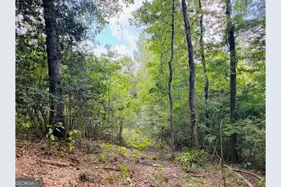 0 Fouche Road #UNIT A, Buena Vista, GA 31803 - Photo 46