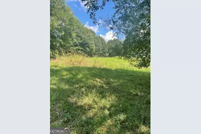 Lot 8 Captains Court, Clarkesville, GA 30523 - Photo 4