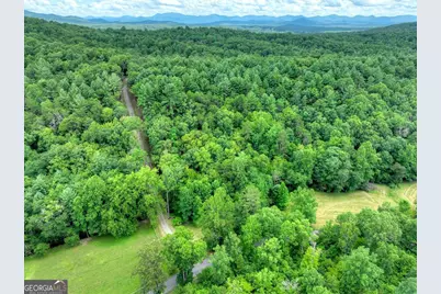 1696 Rocky Top Road, Blairsville, GA 30512 - Photo 8