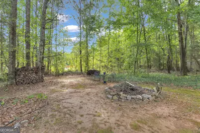 8 Melba Court, Senoia, GA 30276 - Photo 52