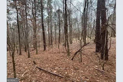 0 Oconee Rd Lot 3, Buckhead, GA 30625 - Photo 4