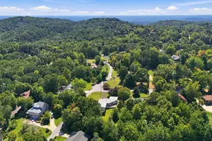 199 Sunrise Cir, Cornelia, GA 30531 - Photo 54