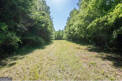 0 Apt To Miss Rd, Monticello, GA 31064 - Photo 16