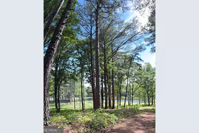1102 Mitchell Road, Maysville, GA 30558 - Photo 6