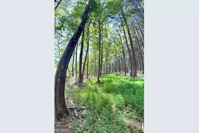 1102 Mitchell Road, Maysville, GA 30558 - Photo 10