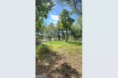 1102 Mitchell Road, Maysville, GA 30558 - Photo 20