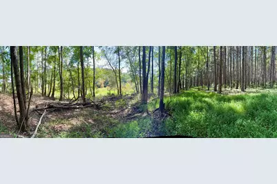1102 Mitchell Road, Maysville, GA 30558 - Photo 12