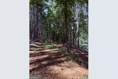 1102 Mitchell Road, Maysville, GA 30558 - Photo 22