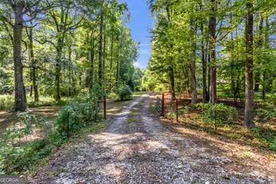 460 Etheridge Mill Road, Milner, GA 30257 - Photo 38