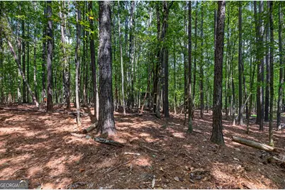 270 Gibson Road, Newnan, GA 30263 - Photo 40