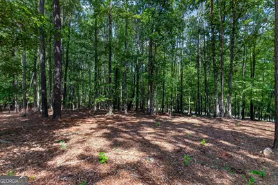 270 Gibson Road, Newnan, GA 30263 - Photo 42
