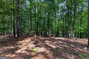 270 Gibson Rd, Newnan, GA 30263 - Photo 42