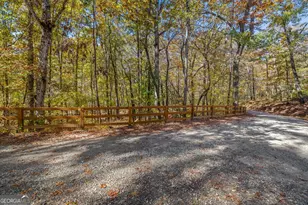 1010 Meadowview Ridge, Clarkesville, GA 30523 - Photo 48