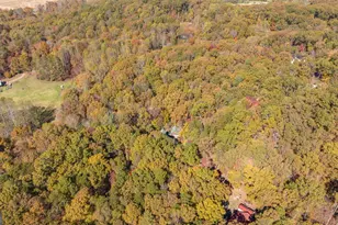 1010 Meadowview Ridge, Clarkesville, GA 30523 - Photo 52