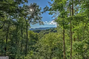20 Smith Hill Rd, Blue Ridge, GA 30513 - Photo 4