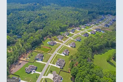 82 Riverstone Drive, Senoia, GA 30276 - Photo 50