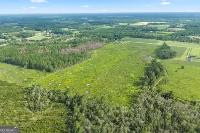 0 Sellers Road, Baxley, GA 31513 - Photo 8