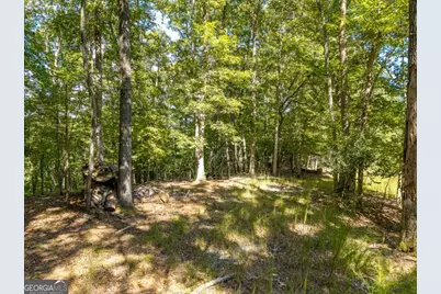 Lt 27/28 Donna Lee Lane #27/28, Mineral Bluff, GA 30559 - Photo 12