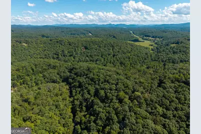 Lt 27/28 Donna Lee Lane #27/28, Mineral Bluff, GA 30559 - Photo 22