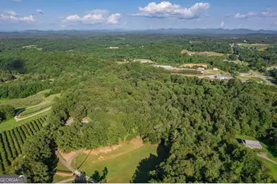 270 Stone Lane, Blue Ridge, GA 30513 - Photo 70