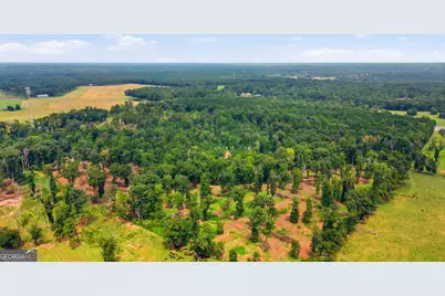 0 Tract 1 Greensoboro Road, Eatonton, GA 31024 - Photo 12