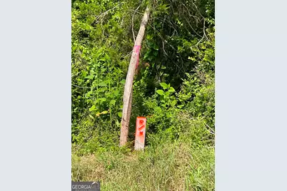 Tract 1 Hwy 29 N, Royston, GA 30662 - Photo 12