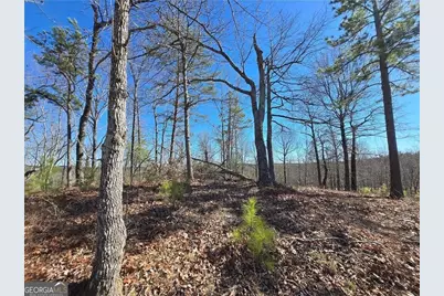 0 Brushy Mountain Road, Rockmart, GA 30153 - Photo 10