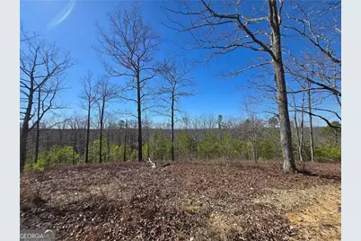 0 Brushy Mountain Road, Rockmart, GA 30153 - Photo 8