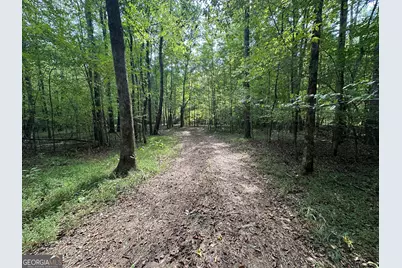119 Hough Johnson Road, Haddock, GA 31033 - Photo 18