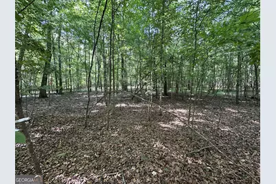 119 Hough Johnson Road, Haddock, GA 31033 - Photo 12