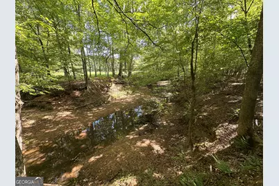 119 Hough Johnson Road, Haddock, GA 31033 - Photo 30