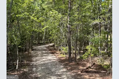 119 Hough Johnson Road, Haddock, GA 31033 - Photo 2