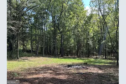 119 Hough Johnson Road, Haddock, GA 31033 - Photo 32