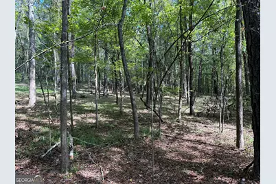 119 Hough Johnson Road, Haddock, GA 31033 - Photo 36