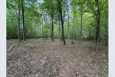 119 Hough Johnson Road, Haddock, GA 31033 - Photo 20