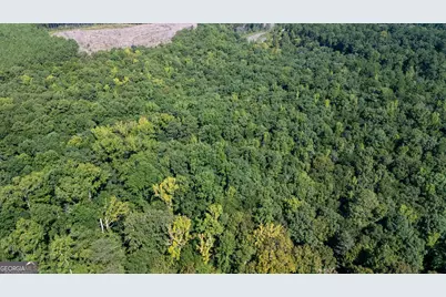 Tract 2A1-C Salem Road, Lagrange, GA 30241 - Photo 10