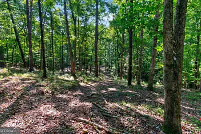 Tract 2A1-C Salem Road, Lagrange, GA 30241 - Photo 16