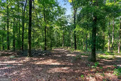 Tract 2A1-C Salem Road, Lagrange, GA 30241 - Photo 20