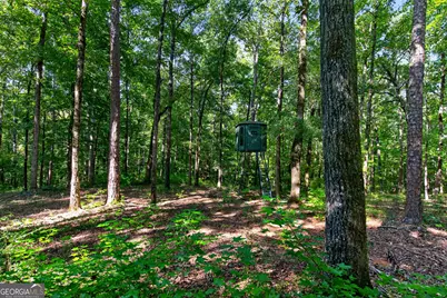 Tract 2A1-C Salem Road, Lagrange, GA 30241 - Photo 18