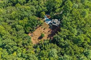 15662 Hwy 197 N, Clarkesville, GA 30523 - Photo 38