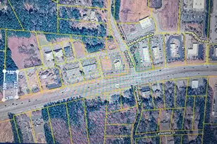 2664 Hwy 34 E, Newnan, GA 30265 - Photo 2