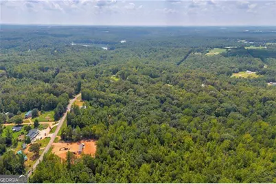 311 Caprice Drive, Martin, GA 30557 - Photo 8