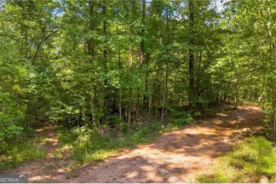 311 Caprice Drive, Martin, GA 30557 - Photo 14