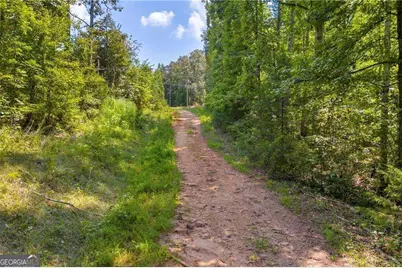 311 Caprice Drive, Martin, GA 30557 - Photo 16