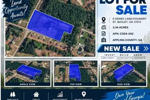 0 Kenny Lane/Foundry St, Baxley, GA 31513 - Photo 1