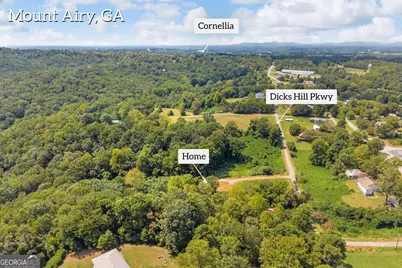 530 Grandview Avenue, Mount Airy, GA 30563 - Photo 46