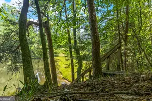 85 Misty Holw Rdg, Ellijay, GA 30536 - Photo 60