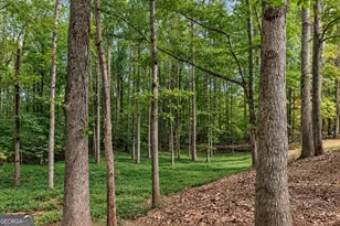 115 Rock Quarry Dr, Danielsville, GA 30633 - Photo 22