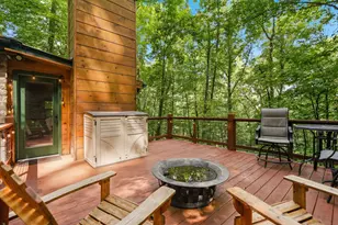 329 Laurel Ridge Dr, Blue Ridge, GA 30513 - Photo 8